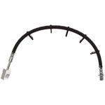 Order Rear Brake Hose by RAYBESTOS - BH384212 For Your Vehicle