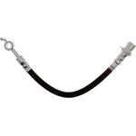 Order Rear Brake Hose by RAYBESTOS - BH384463 For Your Vehicle