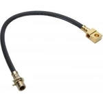 Order Rear Brake Hose by RAYBESTOS - BH38520 For Your Vehicle