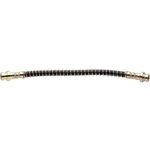 Order Rear Brake Hose by RAYBESTOS - BH38800 For Your Vehicle
