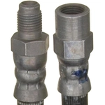 Order Rear Brake Hose by RAYBESTOS - BH38990 For Your Vehicle