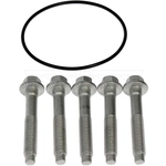 Order DORMAN (OE SOLUTIONS) - 926-127 - Rear Brake Rotor Bolt Or Screw For Your Vehicle