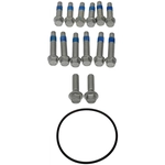 Order DORMAN (OE SOLUTIONS) - 966-002 - Axle Bolt Kit For Your Vehicle