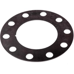 Order Rear Brake Rotor Shim by RAYBESTOS - BA80406 For Your Vehicle