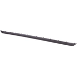 Order Rear Bumper Molding - VW1144106C For Your Vehicle