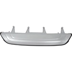 Order Rear Bumper Valance Panel - LX1195113C For Your Vehicle