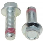 Order Rear Caliper Bolt Or Pin by RAYBESTOS - H17004 For Your Vehicle