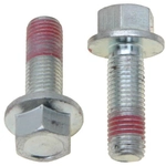 Order RAYBESTOS - H17007 - Rear Caliper Bolt Or Pin For Your Vehicle
