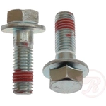 Order Rear Caliper Bolt Or Pin by RAYBESTOS - H17030 For Your Vehicle