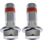 Order Rear Caliper Bolt Or Pin by RAYBESTOS - H17040 For Your Vehicle