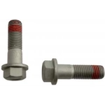 Order Rear Caliper Bolt Or Pin by RAYBESTOS - H17045 For Your Vehicle