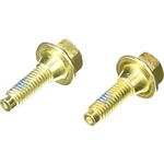 Order Rear Caliper Bolt Or Pin by RAYBESTOS - H5010W For Your Vehicle