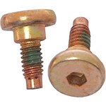 Order Rear Caliper Bolt Or Pin by RAYBESTOS - H5019W For Your Vehicle