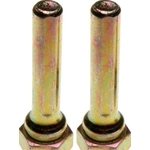 Order Rear Caliper Bolt Or Pin by RAYBESTOS - H5041W For Your Vehicle