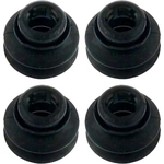 Order RAYBESTOS - H16181 - Rear Caliper Bushing For Your Vehicle
