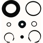 Order Rear Caliper Kit by RAYBESTOS - WK3476 For Your Vehicle