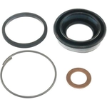 Order Rear Caliper Kit by RAYBESTOS - WK1531 For Your Vehicle