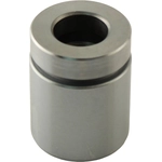 Order CARLSON - 7019 - Disc Brake Caliper Piston For Your Vehicle