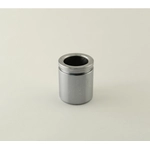 Order Rear Caliper Piston by CARLSON - 7934 For Your Vehicle