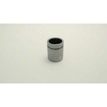 Order Rear Caliper Piston by CARLSON - 7944 For Your Vehicle