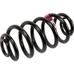 Order Rear Coil Springs by ACDELCO - 13312084 For Your Vehicle