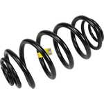 Order Rear Coil Springs by ACDELCO - 13363445 For Your Vehicle