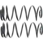 Order Rear Coil Springs by ACDELCO - 45H3153 For Your Vehicle