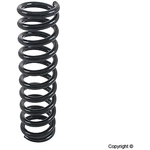 Order Rear Coil Spring by LESJOFORS - 4256800 For Your Vehicle