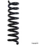 Order Rear Coil Spring by LESJOFORS - 4256851 For Your Vehicle