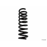 Order Rear Coil Spring by LESJOFORS - 4256865 For Your Vehicle