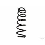 Order Rear Coil Spring by LESJOFORS - 4295038 For Your Vehicle