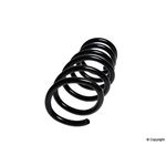 Order Rear Coil Spring by LESJOFORS - 4295851 For Your Vehicle