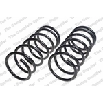 Order Rear Coil Springs by LESJOFORS - 4462012 For Your Vehicle