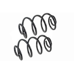 Order Rear Coil Springs by MEVOTECH - SMS5409 For Your Vehicle