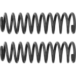 Order Rear Coil Springs by RANCHO - RS6417B For Your Vehicle
