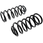 Order Rear Coil Springs by RAYBESTOS - 589-1077 For Your Vehicle