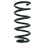 Order SUPLEX PARTS - 6460 - Rear Coil Springs For Your Vehicle