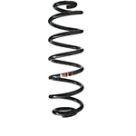 Order Rear Coil Springs by SUPLEX PARTS - 39291 For Your Vehicle