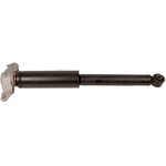 Order MONROE/EXPERT SERIES - 25647R - Strut For Your Vehicle