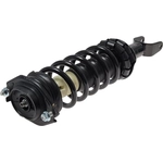 Order Rear Complete Strut Assembly by EVOLUTION - V171148 For Your Vehicle