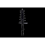 Order Rear Complete Strut Assembly by FCS AUTOMOTIVE - 1333592L For Your Vehicle