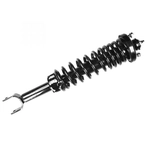 Order FCS AUTOMOTIVE - 1336318 - Rear Complete Strut Assembly For Your Vehicle