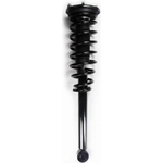 Order Rear Complete Strut Assembly by FCS AUTOMOTIVE - 1345399 For Your Vehicle
