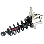 Order FCS AUTOMOTIVE - 1345823R - Rear Complete Strut Assembly For Your Vehicle