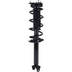 Order Rear Complete Strut Assembly by FCS AUTOMOTIVE - 1355137 For Your Vehicle