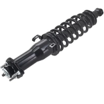 Order Rear Complete Strut Assembly by FCS AUTOMOTIVE - 2345481R For Your Vehicle