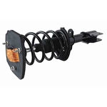 Order GSP NORTH AMERICA - 810074 - Suspension Strut and Coil Spring Assembly For Your Vehicle