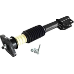 Order GSP NORTH AMERICA - 810116 - Suspension Strut and Coil Spring Assembly - Rear For Your Vehicle