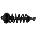 Order GSP NORTH AMERICA - 811331 - Suspension Strut and Coil Spring Assembly - Rear For Your Vehicle
