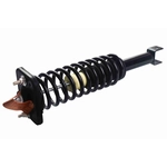 Order GSP NORTH AMERICA - 812116 - Suspension Strut and Coil Spring Assembly - Rear For Your Vehicle
